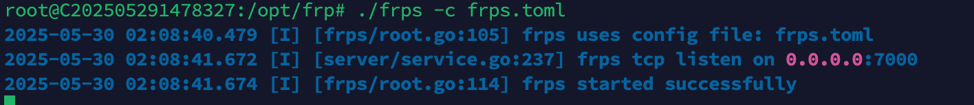 frps 启动日志